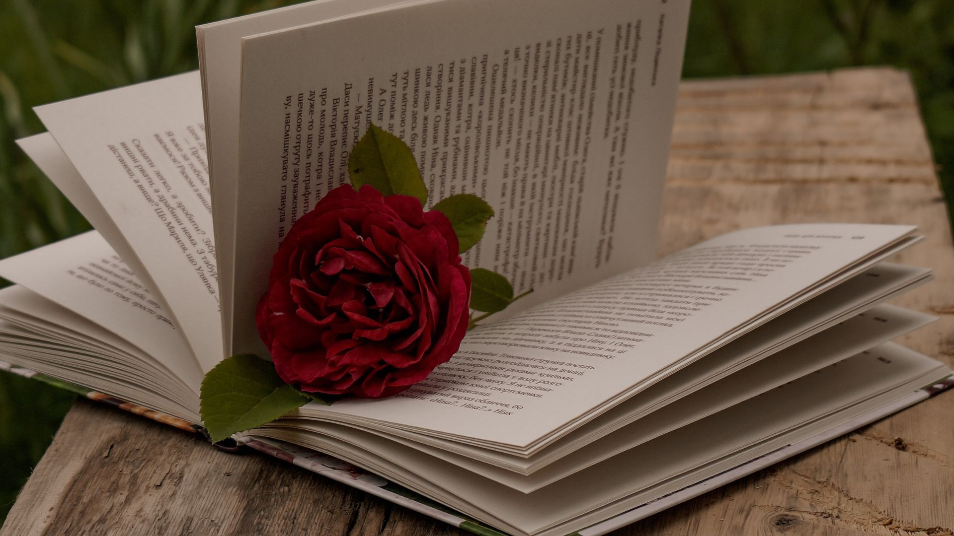 Katalonya'nın Bahar Kutlaması: Sant Jordi Günü'nün Efsanesi, Atasözleri ve Kültürel Etkisi