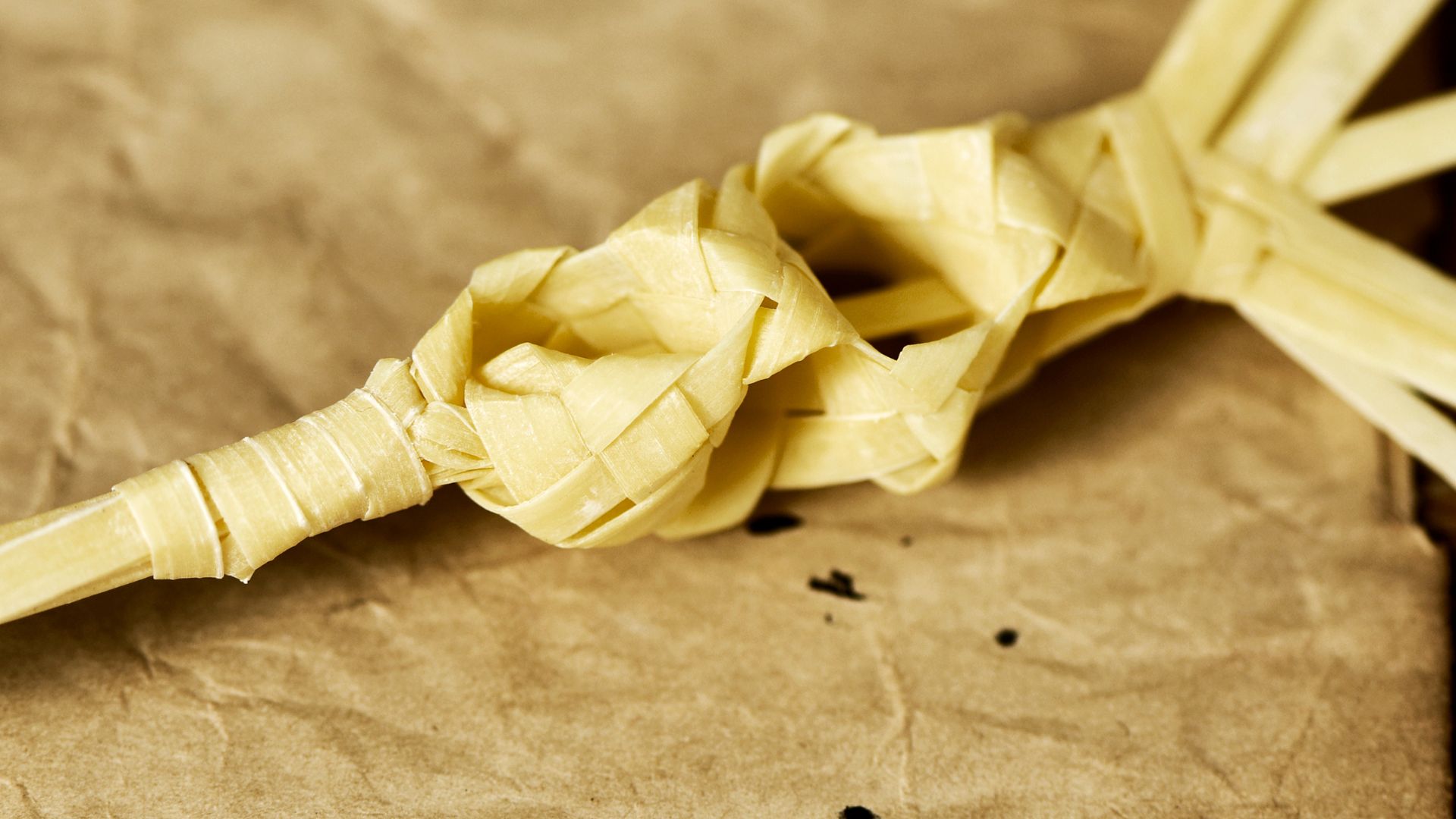 2026 Palmiye Pazarı: İspanya'da Kutsal Haftayı Başlatan Kadim Gelenek