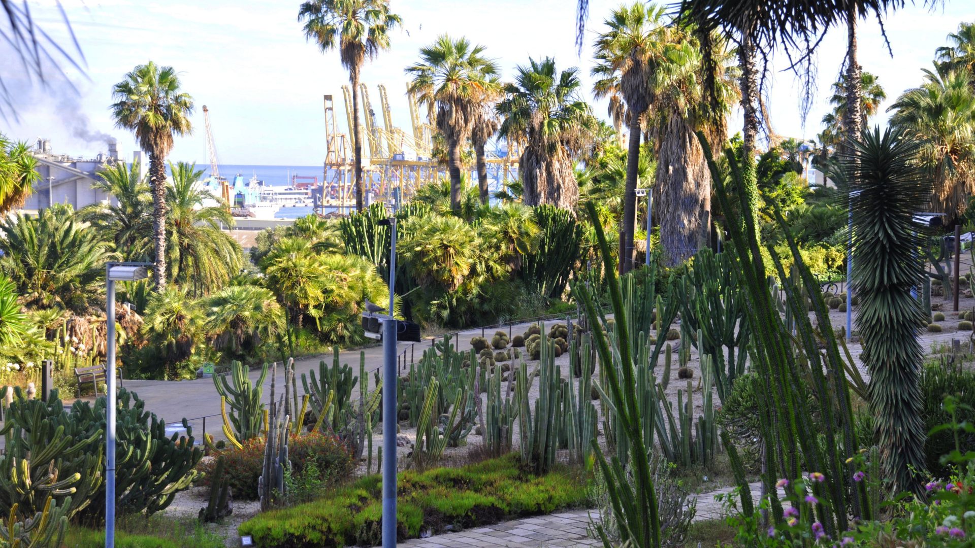 Barselona'da Montjuïc Parkı'ndaki Tecavüz Şüphelisi Yakalandı: Geçmişi Suçlarla Dolu