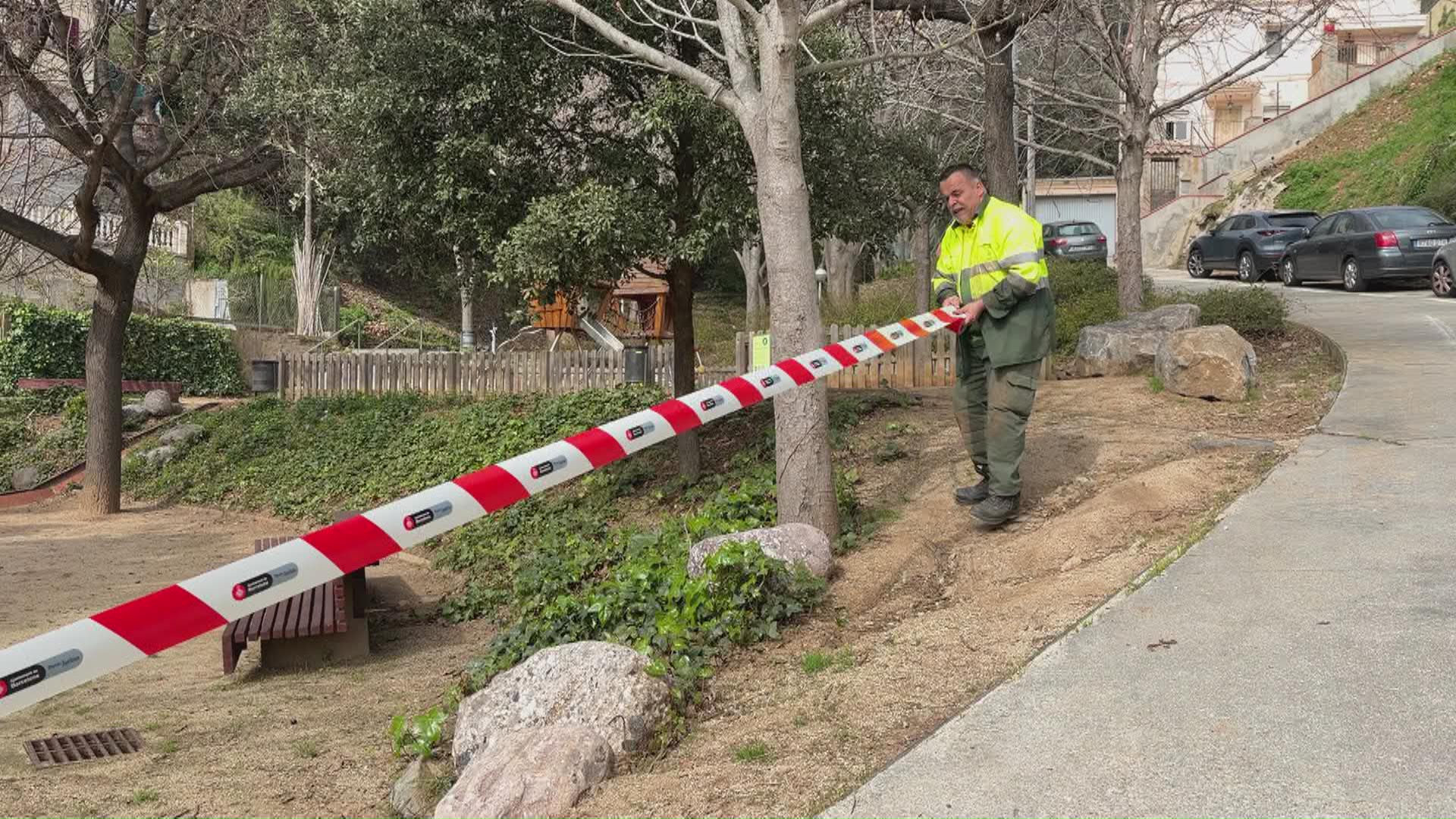 Barselona Parkları Domuz Vebası Nedeniyle Kapatıldı: Halk Endişeli ve Tepkili