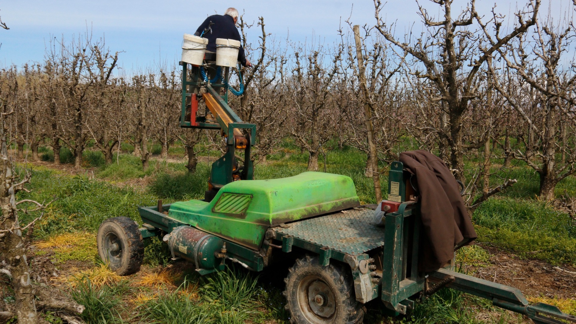 Ortadoğu Savaşı Tarım Sektörünü Vuruyor: Katalonya'da Gübre ve Akaryakıt Maliyetleri