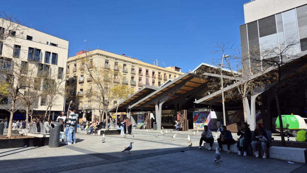 Barselona'da Şaşırtıcı Gelişme: Martılar Kentin Yeni "Yemek Kapkaççıları" Oldu!