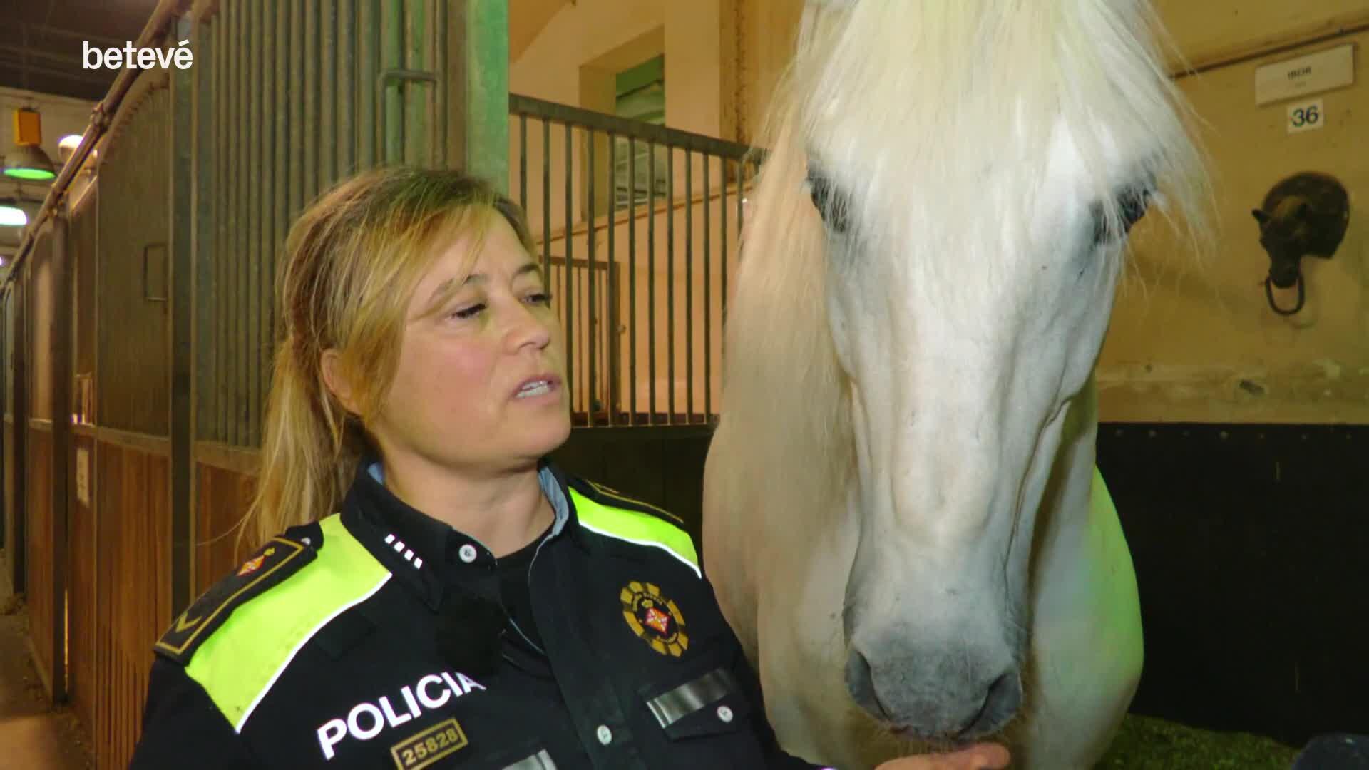 Barselona Guàrdia Urbana'nın Atlı Birliği'nin Öncü Kadını: Gemma Bochaca