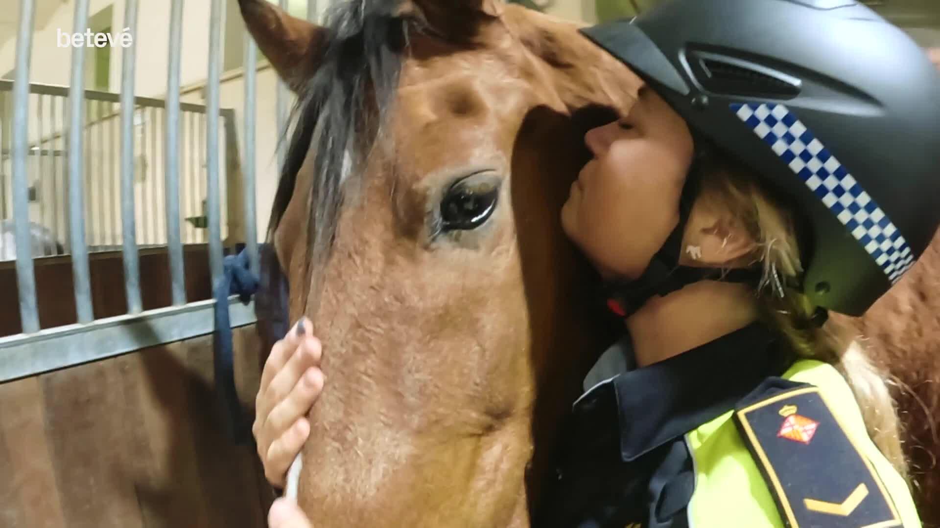 Barselona Şehir Polisi'nin Atlı Birliği'nde Bir Kadın Öncü: Gemma Bochaca
