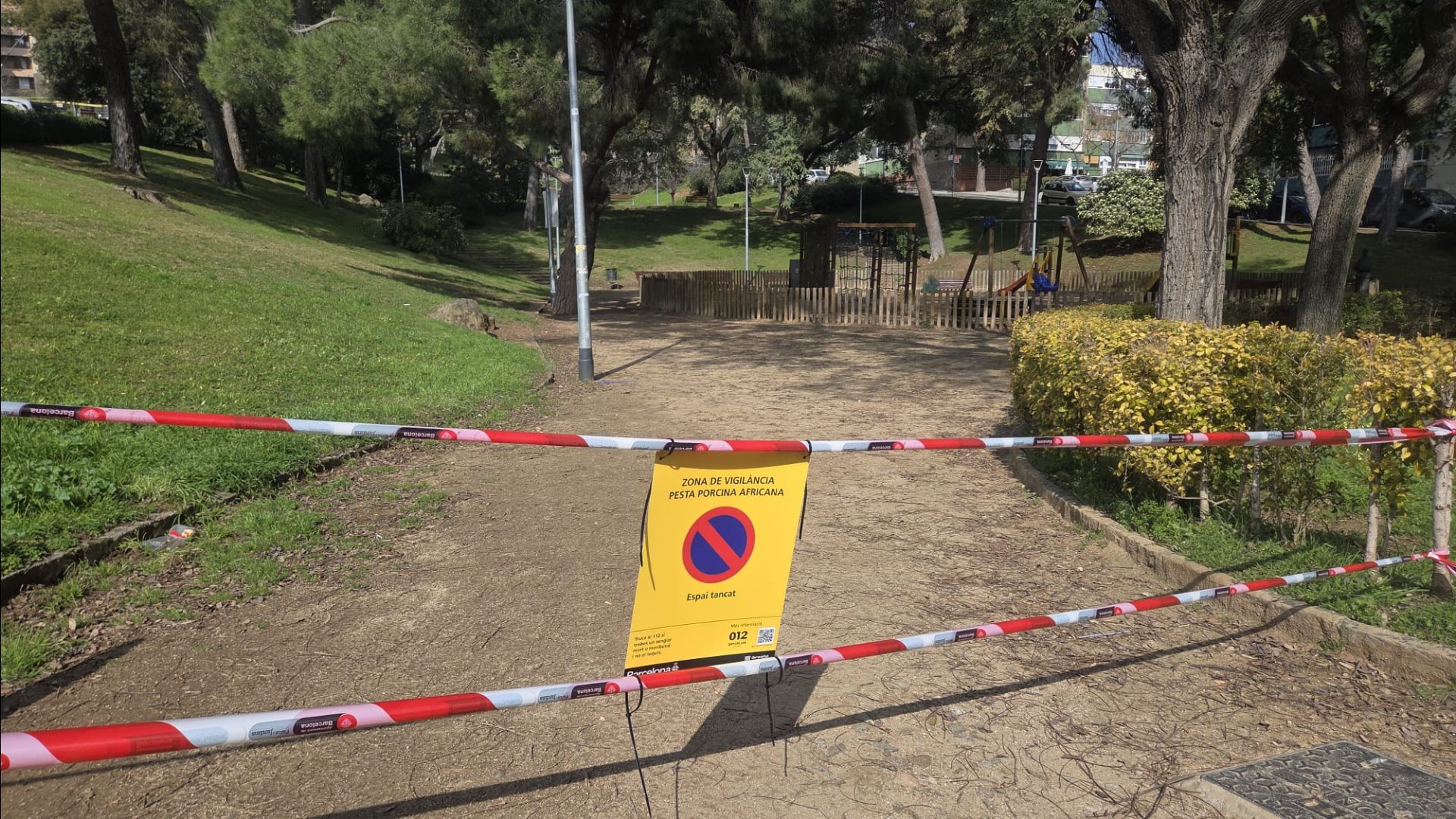 Katalonya'da Kutsal Hafta Öncesi Afrika Domuz Vebası Uyarısı: Doğada Dikkat!