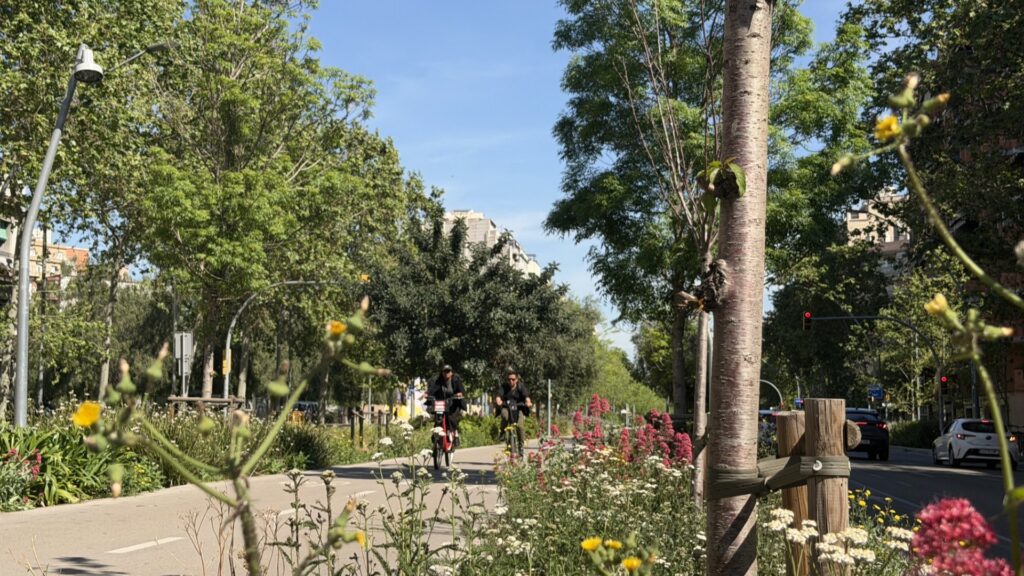 Barselona'nın Bisiklet Yolları Çiçek Açtı: Meridiana, Griye Meydan Okuyan Bir Doğa