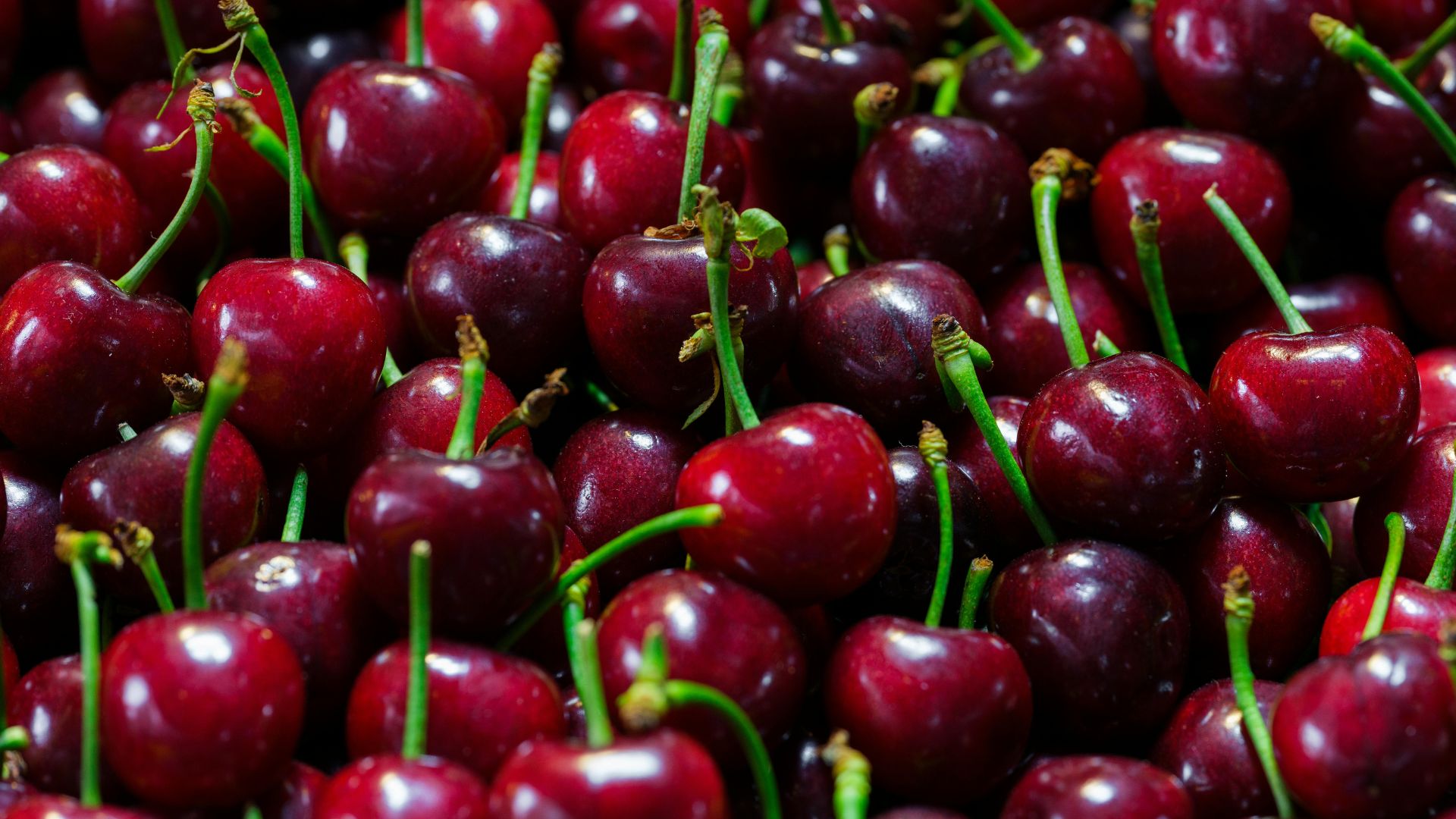 İspanya'da Meyve Fiyatlarına Orta Doğu Zammı: Üretim Maliyetleri Uçuşta