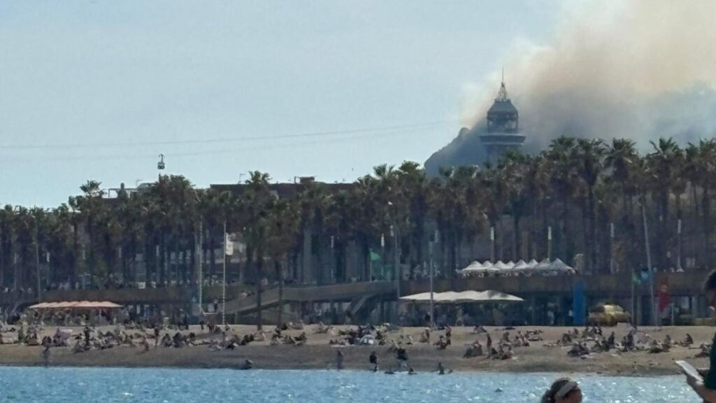 Barselona'da Montjuïc Kalesi Yanında Çıkan Yangın Paniğe Neden Oldu