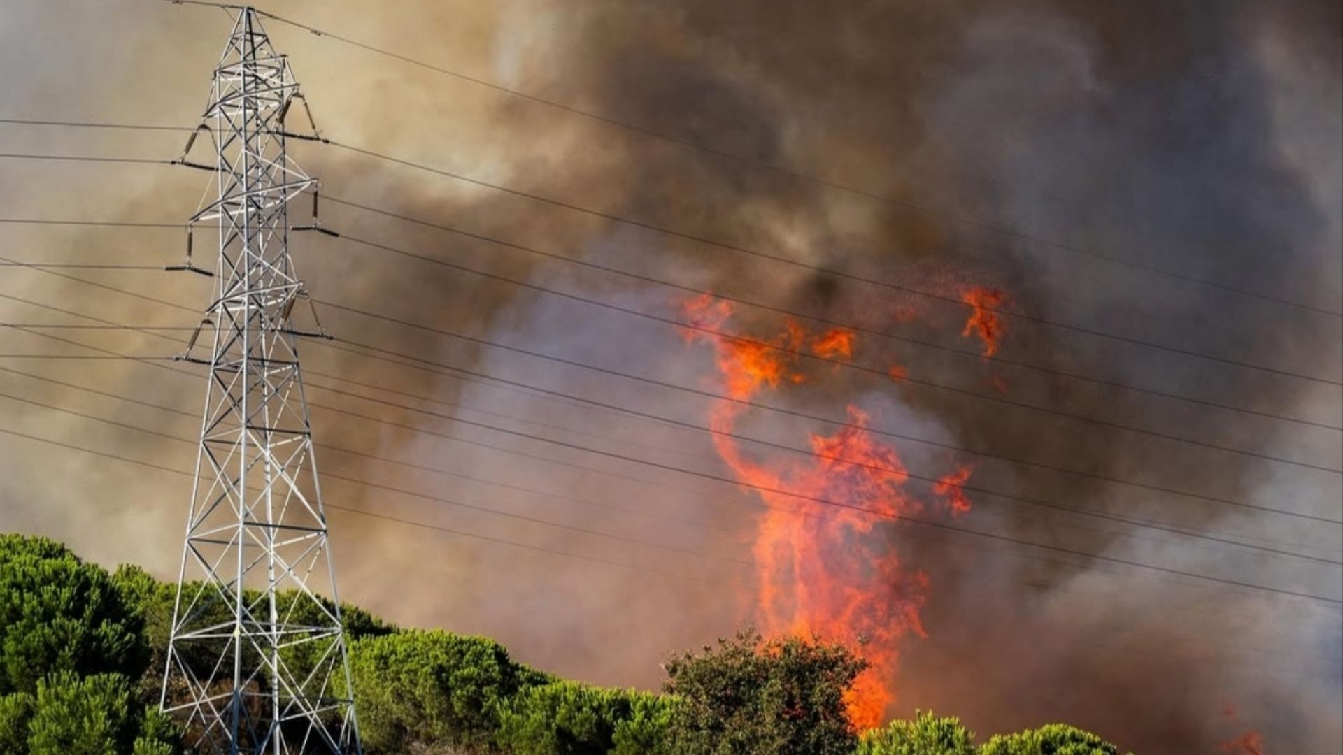 Collserola Yangını: Barselona'nın Akciğerleri Son 30 Yılın En Büyük Felaketini Yaşadı