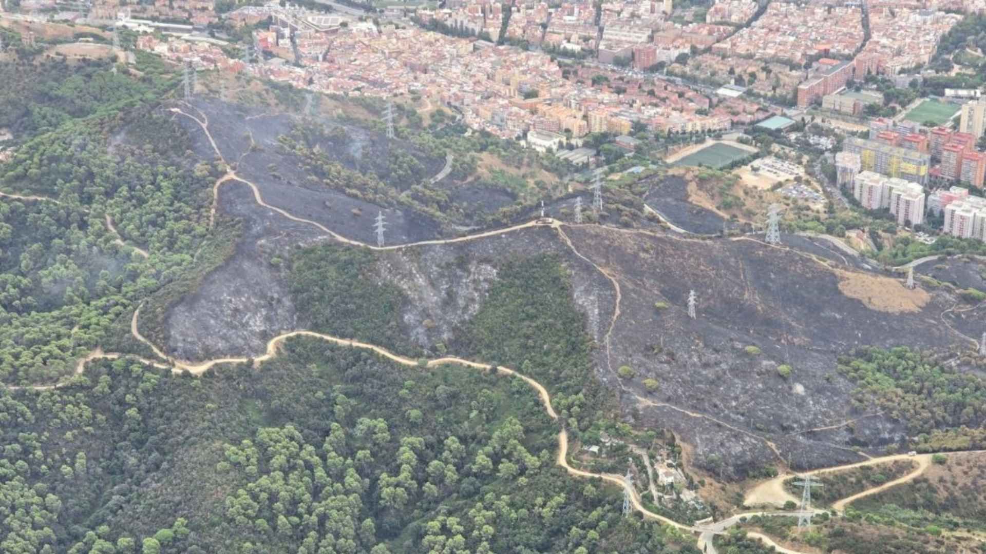 Collserola Yangını İnsan Kaynaklı Çıktı: Soruşturma Derinleşiyor