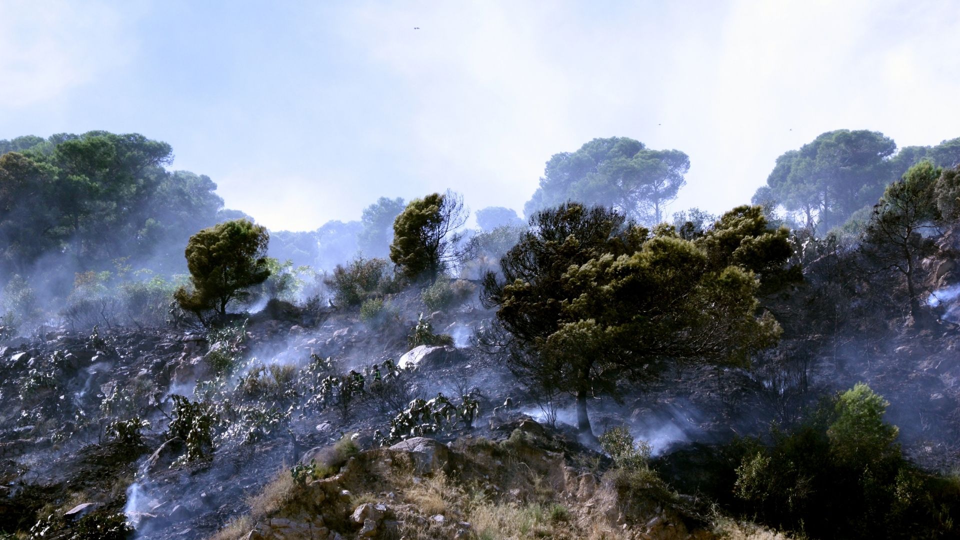 Montjuïc'te Yangın Söndürüldü: Barselona'nın Sembolik Tepesi Tehlike Atlattı