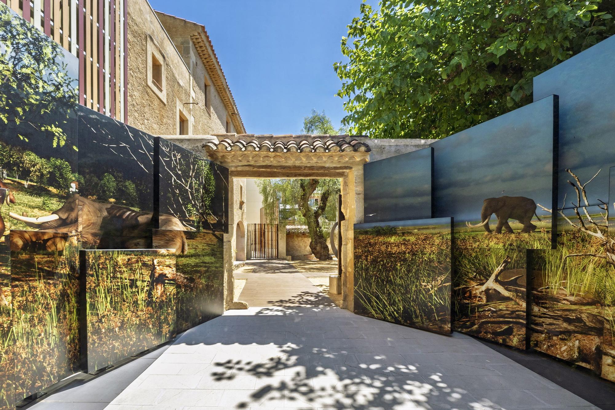 İspanya'nın La Canonja Bölgesinde Tarih Öncesi Bir Keşif: L'Espai Mammuthus Açıldı