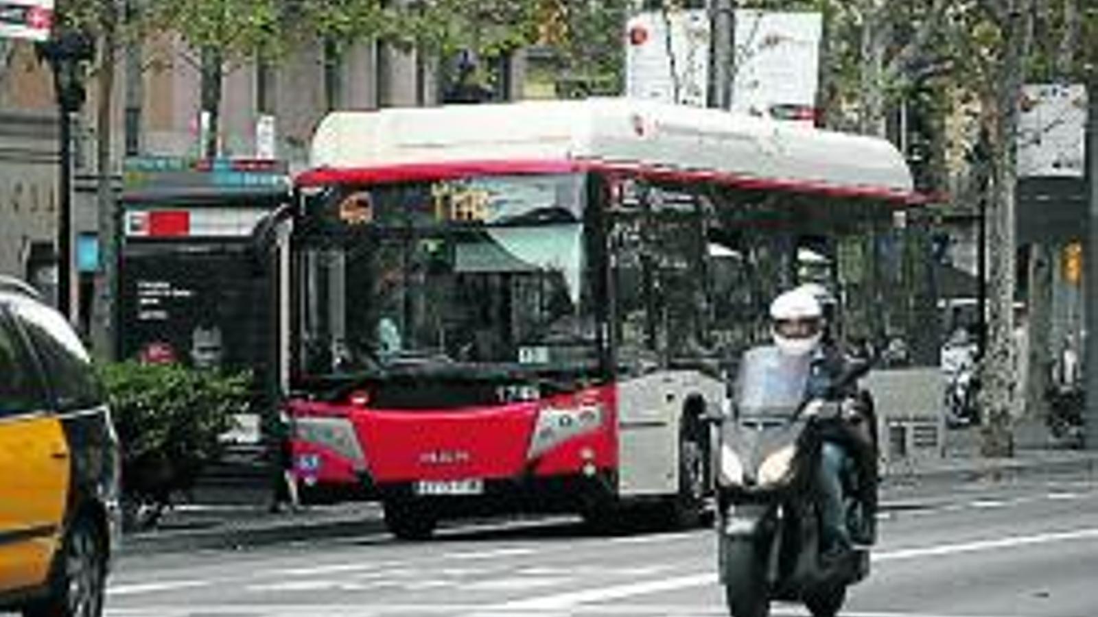 Barselona'da TMB Otobüs Grevleri Başladı: Şehir Ulaşımı Ekim Boyunca Zorda