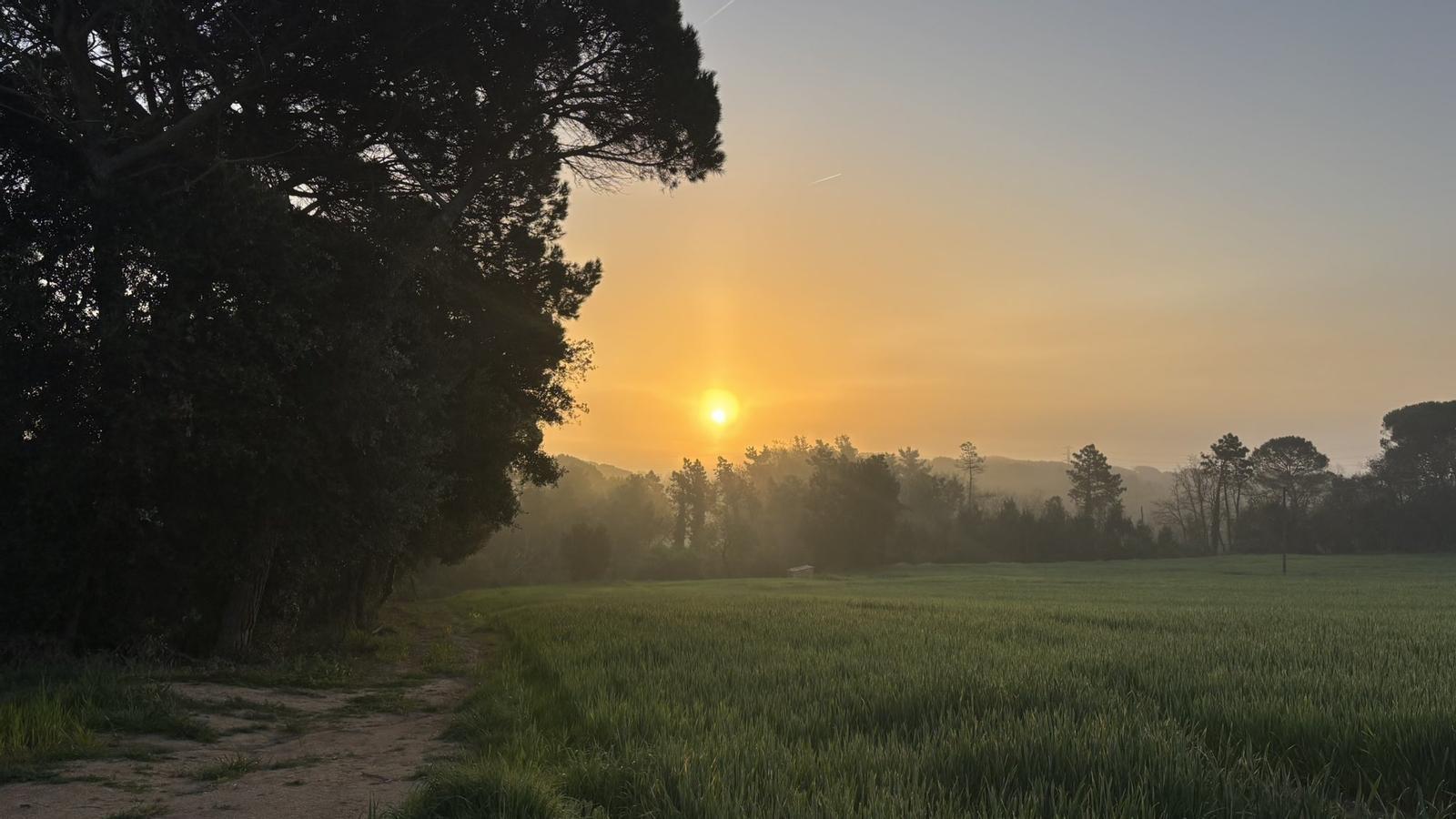 İspanya'da Erken Yaz Sıcakları Zirve Yapıyor: Afrika Tozuyla Gelen Kavurucu Hava ve