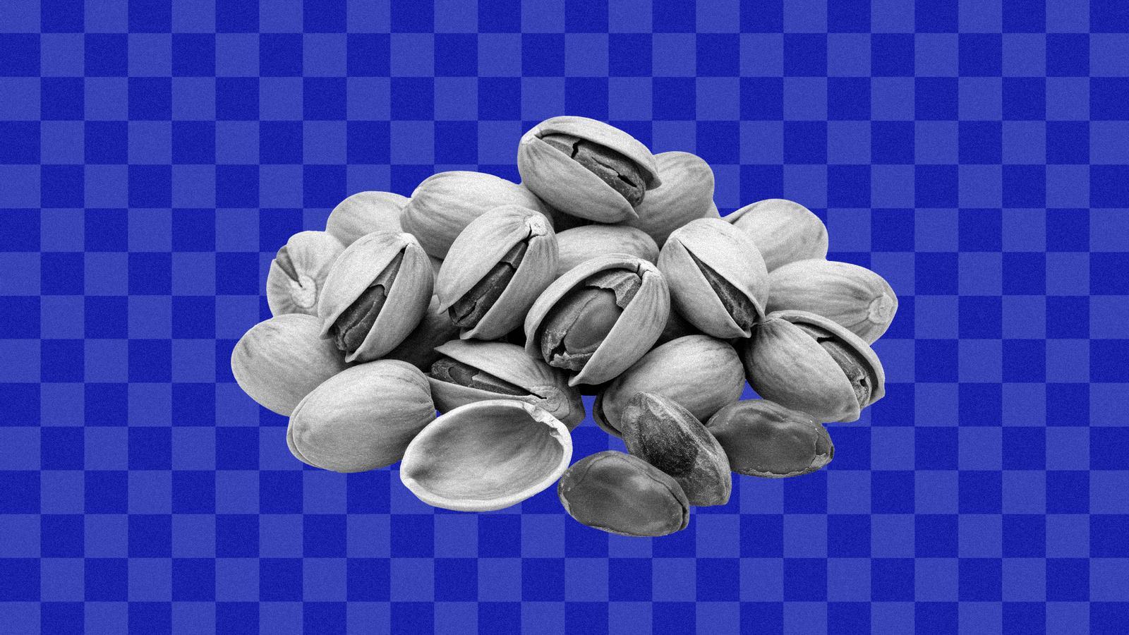 Katalonya'da Yeşil Dalga: Fıstık Üretimi On Yılda Üç Katına Çıktı!