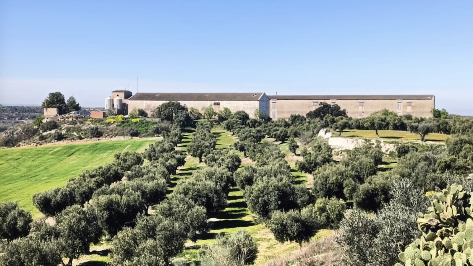 İspanya'da Tarıma Genç Kan: Sant Martí de Riucorb'dan Yenilikçi "Test Çiftliği" Projesi