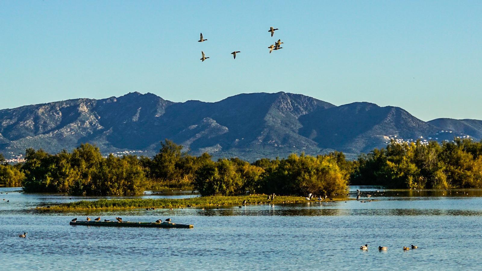 Empordà'nın Görkemli Yüzünün Ardındaki Zorluklar: Bir Cennetin İmtihanı