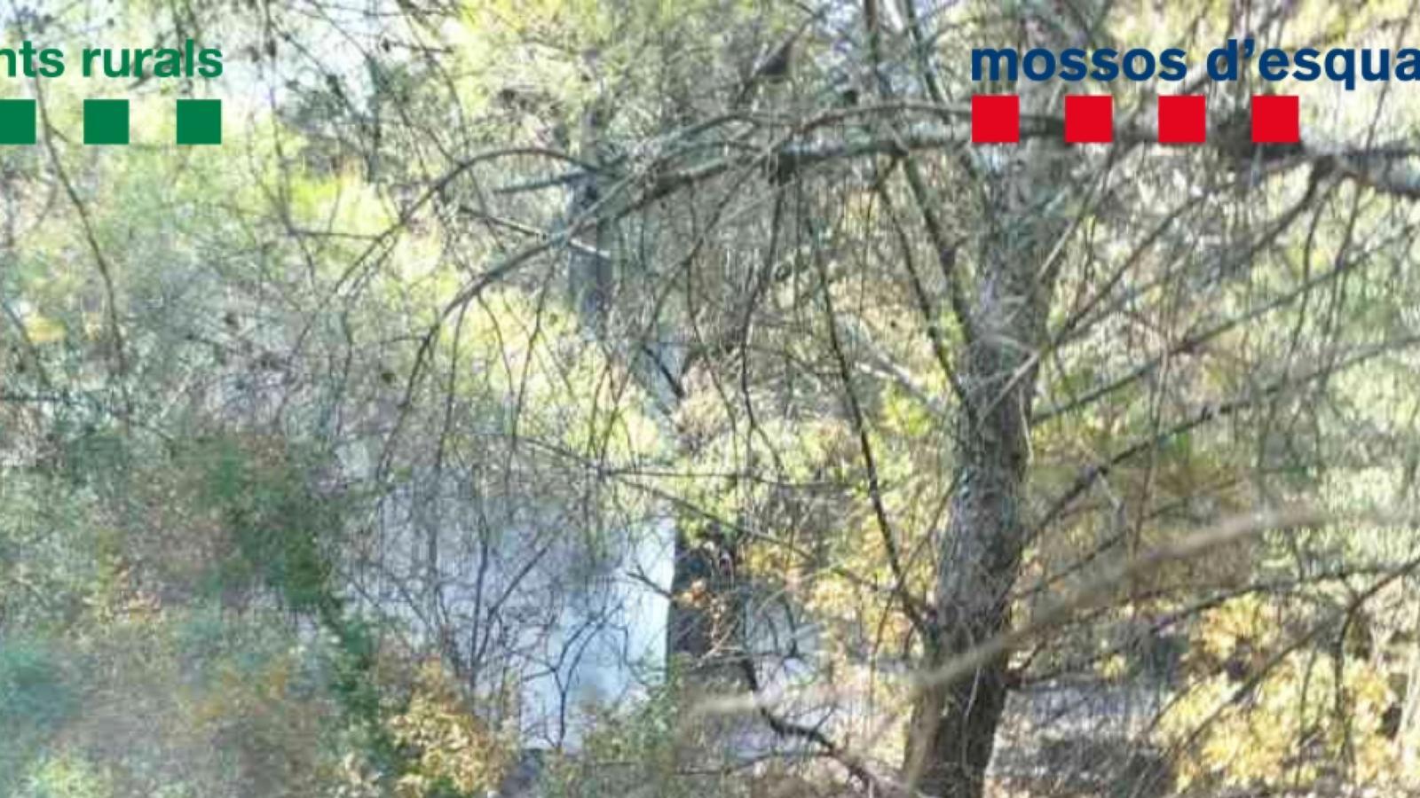 Katalonya'da 1.200 m²'lik Orman Yangınına Neden Olan Kadın Tutuklandı