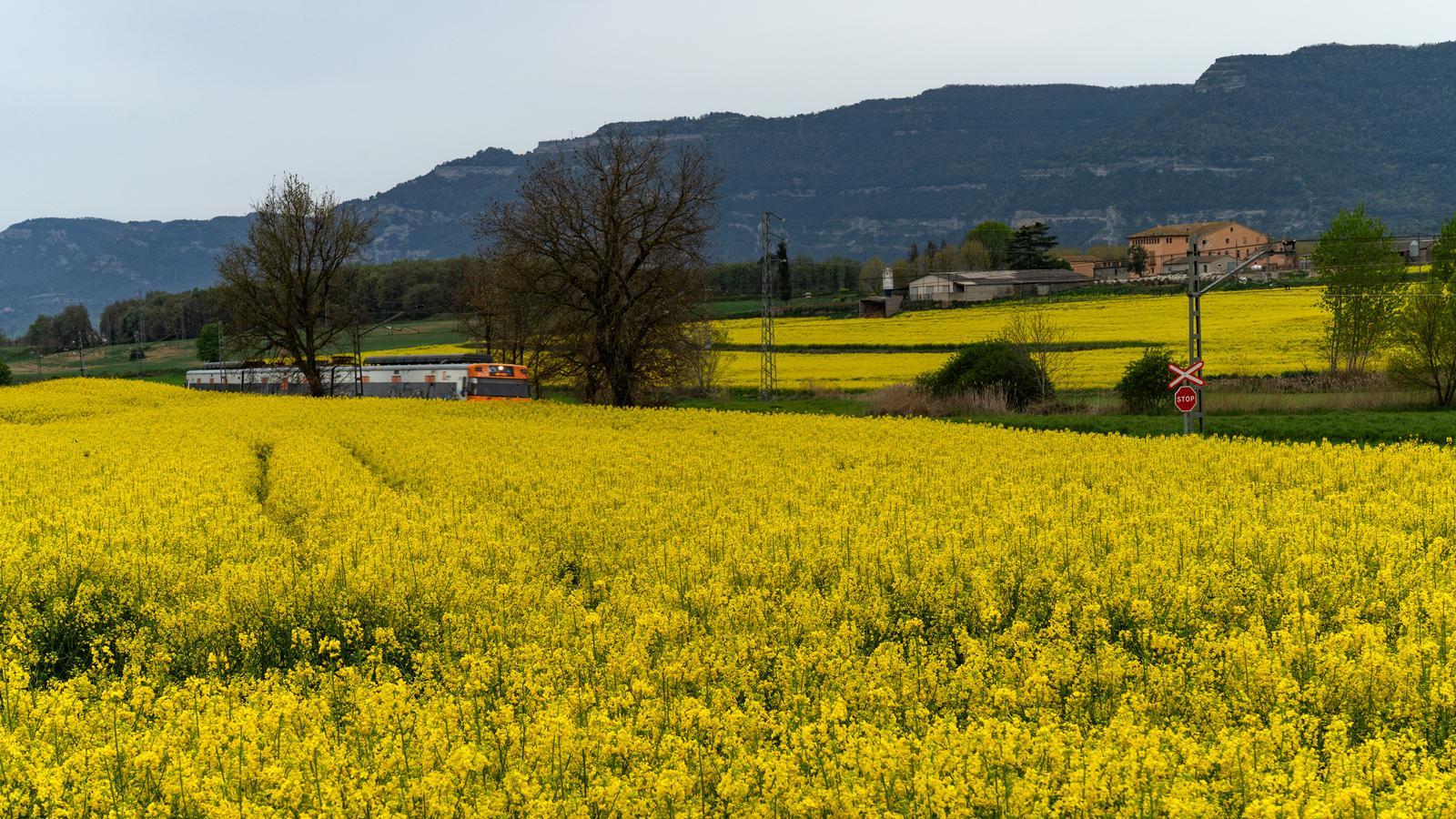 Katalonya'da Ani Hava Değişimi: Kış Geri Geldi, Peki İstikrar Ne Zaman?