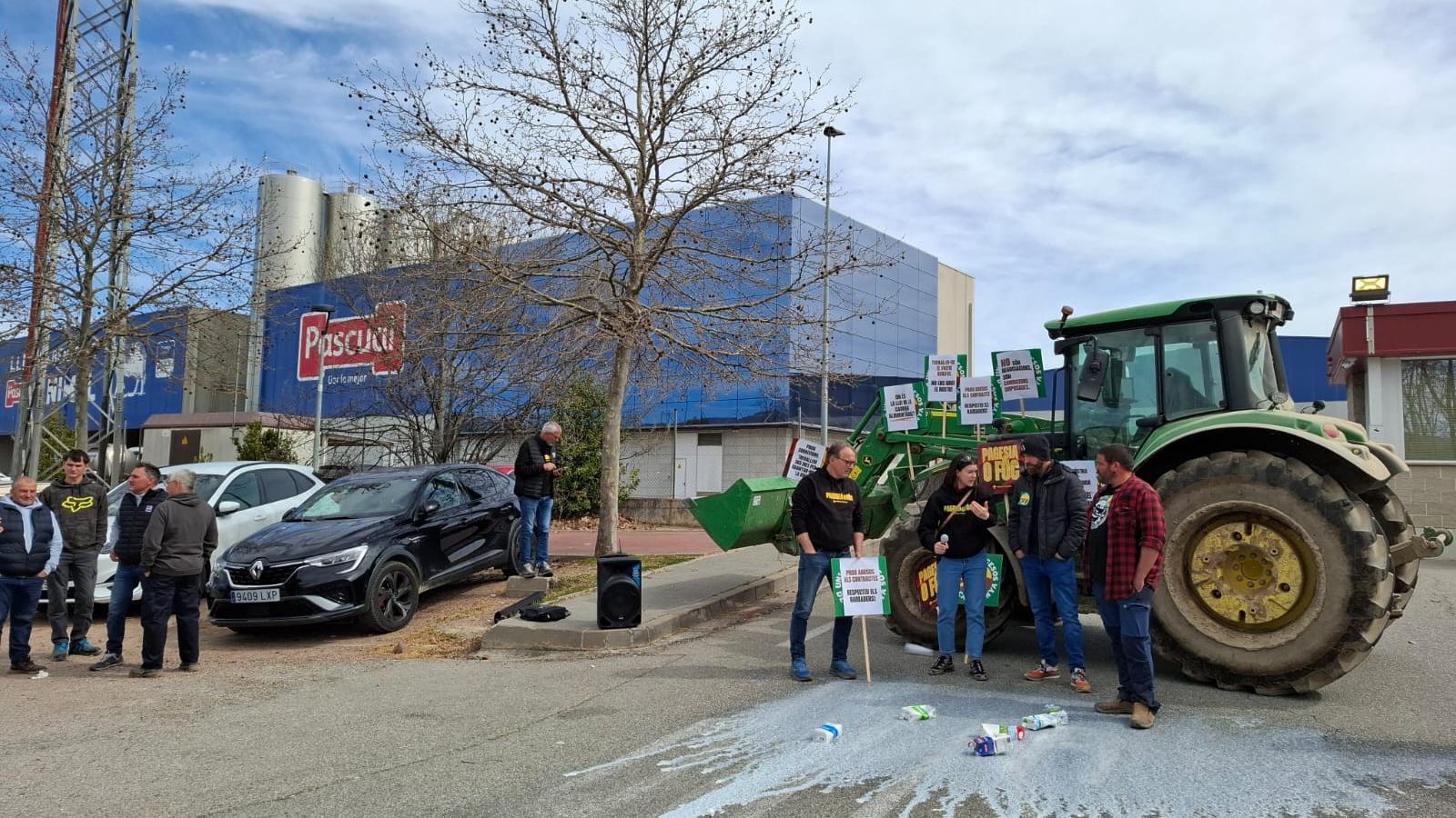 Katalonya'da Süt Krizi: Çiftçiler Düşük Fiyatlara Karşı Gurb'da Ayakta!