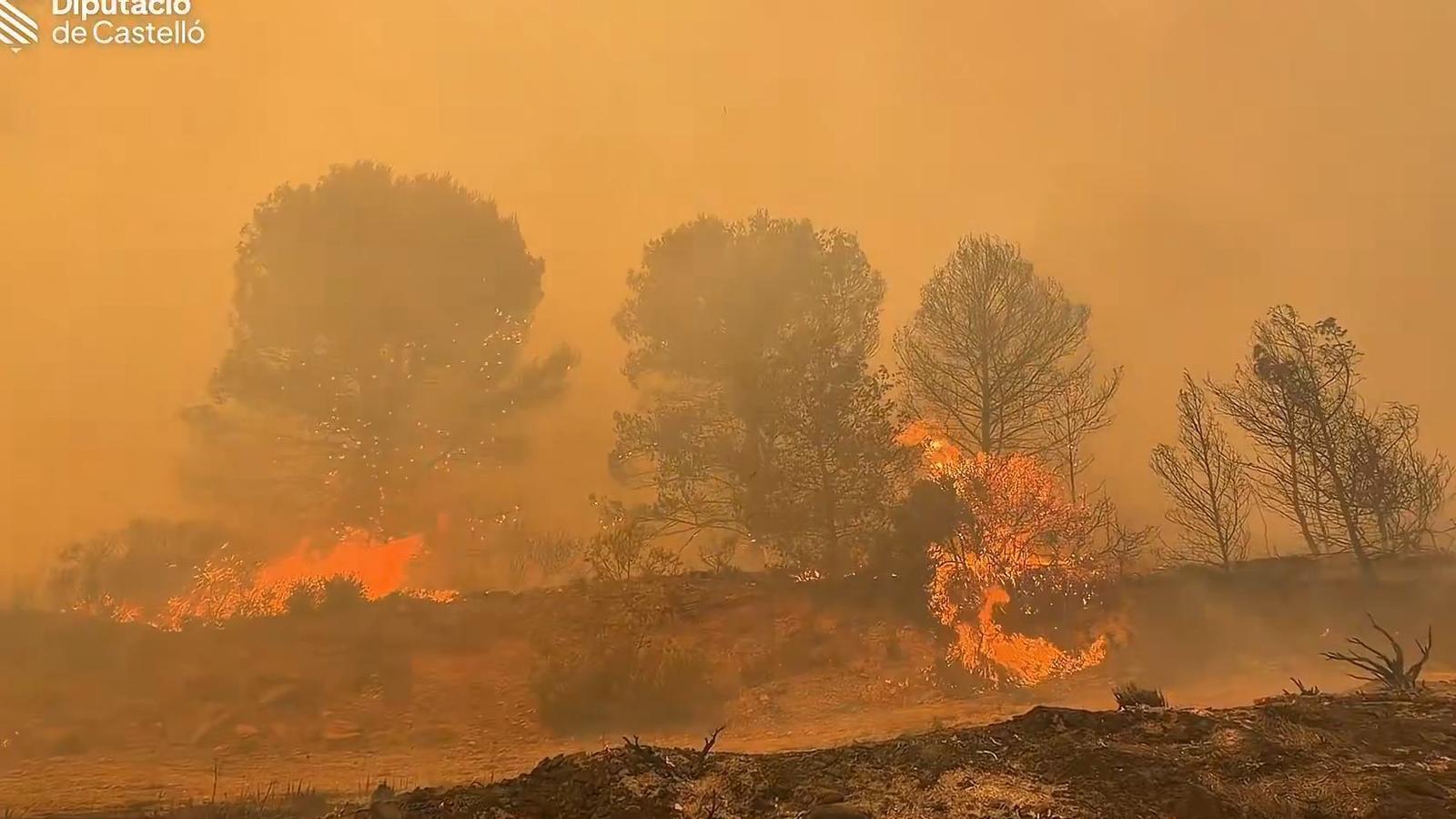 Kuzey Katalonya ve Castelló'da Yıkıcı Yangınlar: On Binlerce Kişi Tahliye Edildi, Tour