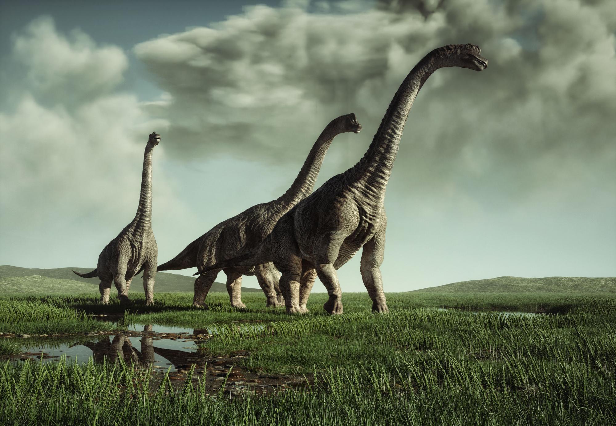 İspanya'da Tarihi Keşif: Avrupa'nın İlk Diplodocus Kalıntıları Teruel'de