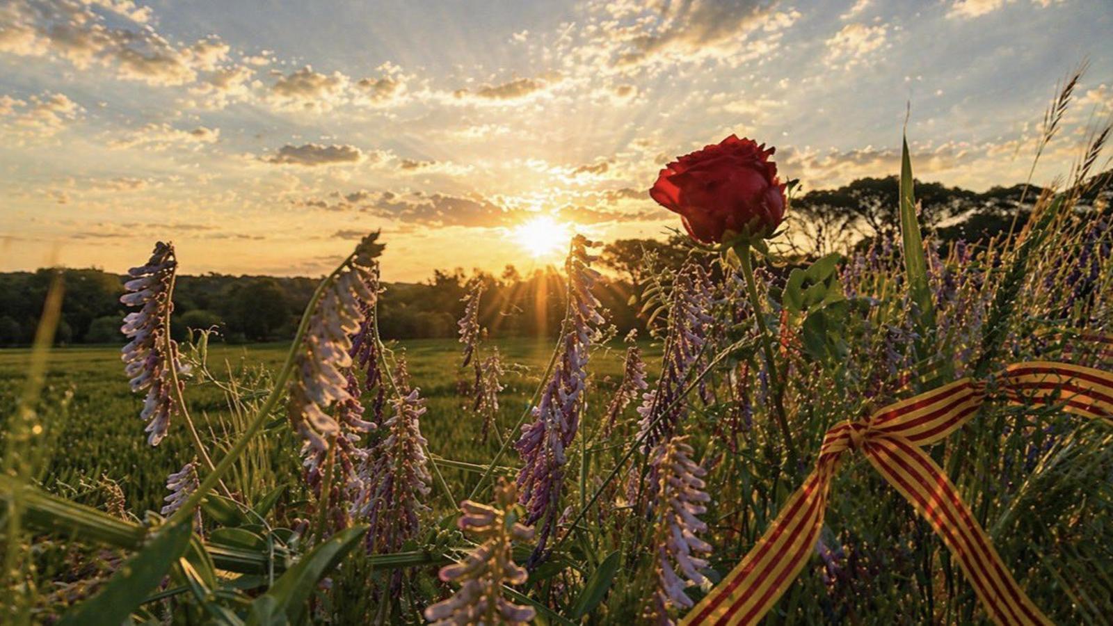 Katalonya'da Hava Durumu Değişkenliği: Sant Jordi Sonrası Serinleme ve Hafta Sonu