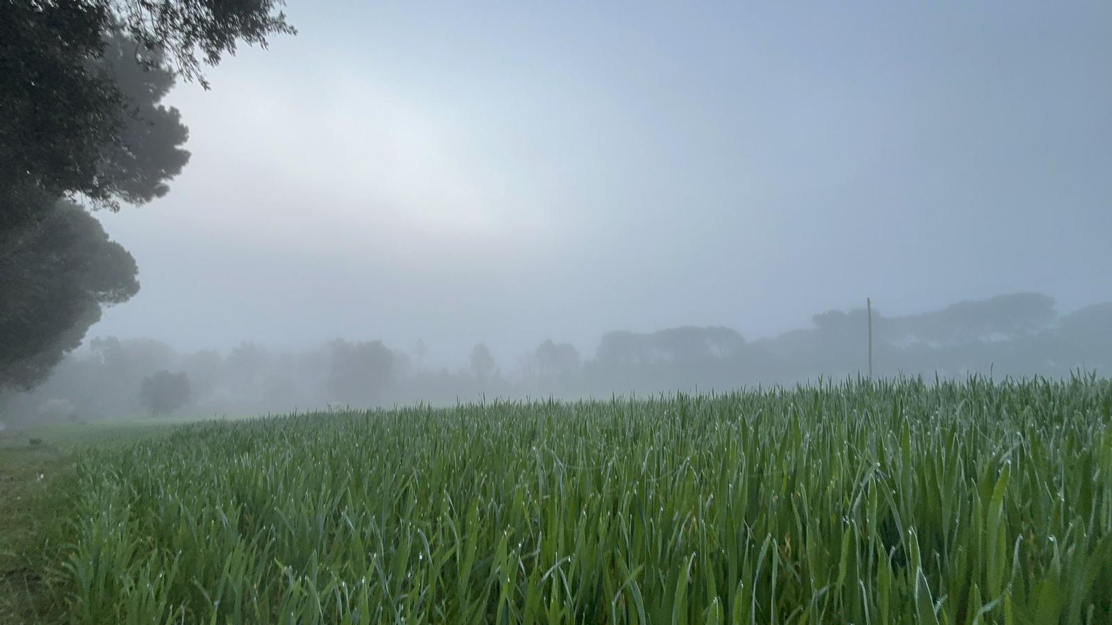 Valensiya'da DANA Alarmı: Katalonya Şanslı, Güneydoğu Yoğun Yağış Bekliyor
