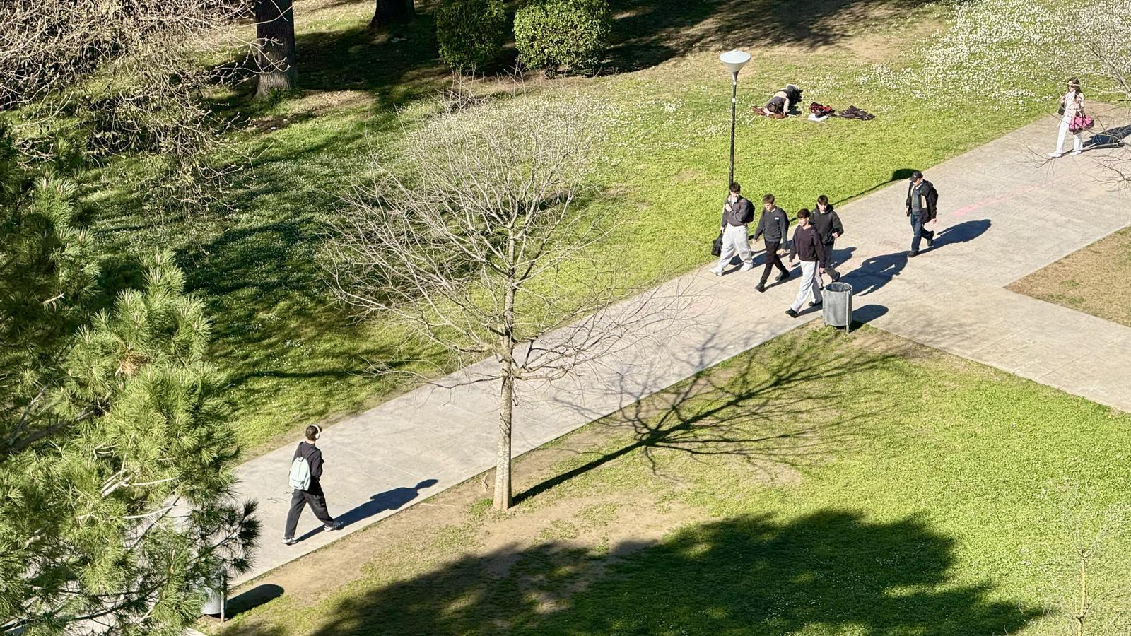 Bahar Geldi, Polen Rekorları Kırıldı: Alerjisi Olanlar İçin Zorlu Bir Sezon Bekleniyor