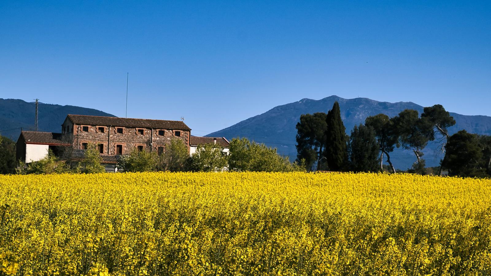 Katalonya'da Hava Durumu Değişkenliği: Fırtınalı Hafta Sonundan Sakin Paskalya'ya Geçiş