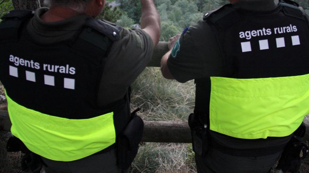 Terrassa'da Kundakçı Suçüstü Yakalandı: Katalonya'da Yangın Endişesi Tavan Yaptı