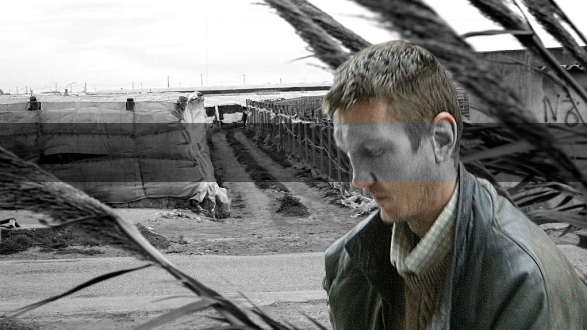 Almería'nın Plastik Denizi'ndeki Korkunç Sır: María Alcaide Cinayeti