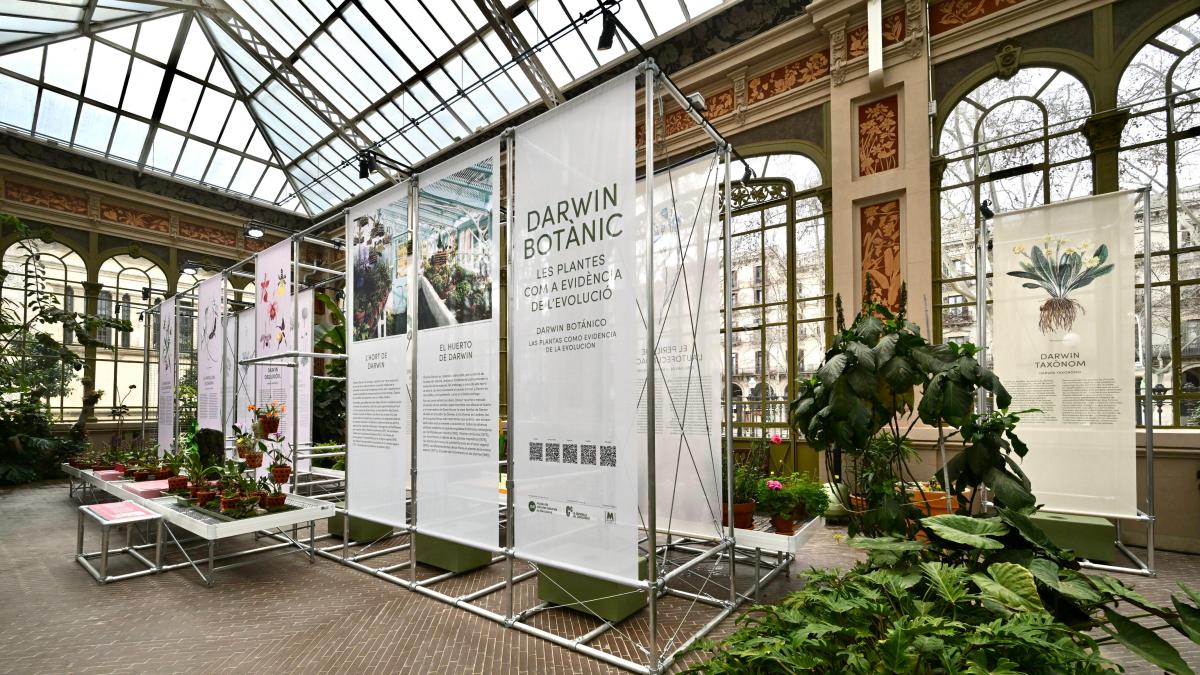 Barselona'da Botanik Darwin Sergisi: Evrimin Bitkisel Kanıtları Yeniden Keşfediliyor