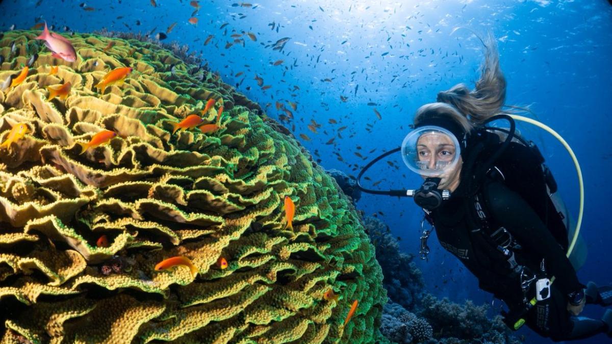 Barselona'nın Kalbinde Dalışın Avrupa Başkenti: Cornellà'daki Uluslararası Fuar