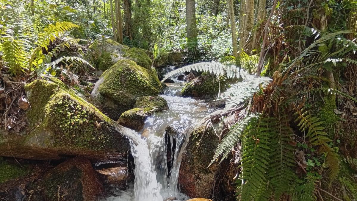 Barselona'nın Unutulan Mirası: Llobregat Kıyısındaki Eski Değirmen Yeniden Gündemde