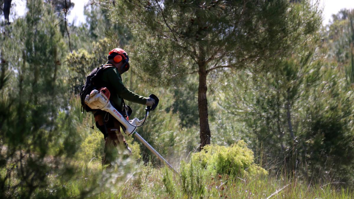 Katalonya'da Yangınlarla Mücadelede Yeni Dönem: 14 Kilit Bölge Tanımlandı