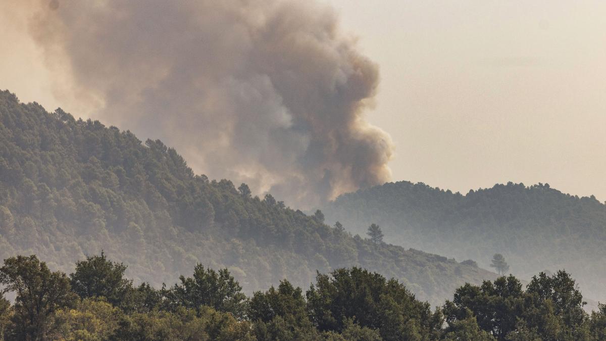 Barselona'nın Akciğerleri Yanıyor: Collserola'da Büyük Orman Yangını Alarmı