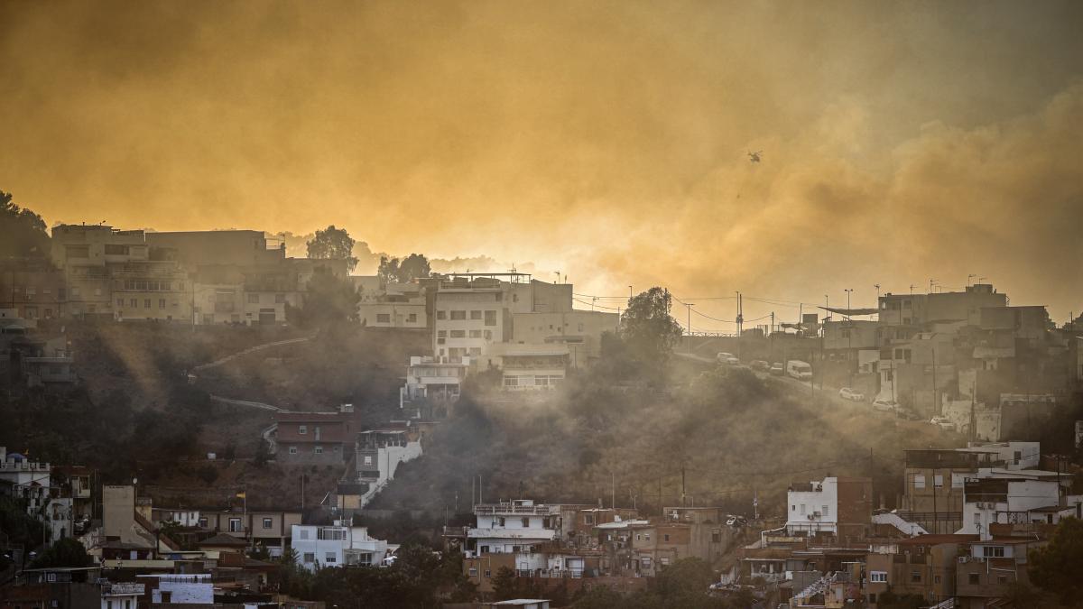 Barselona'nın Akciğerleri Collserola'da Yangın Öfkesi: Halk "Dağlar Saygı İster" Diyor