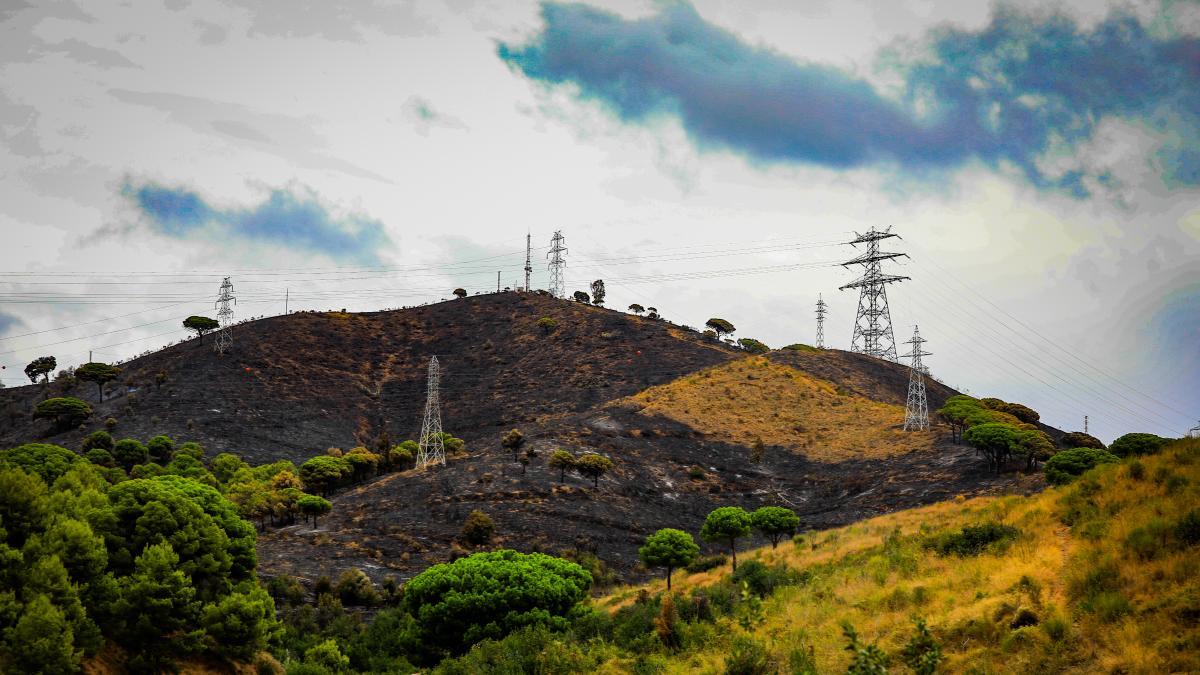 Barselona'nın Collserola Parkı Yangın Tehdidi Altında: Acil Çözümler Aranıyor