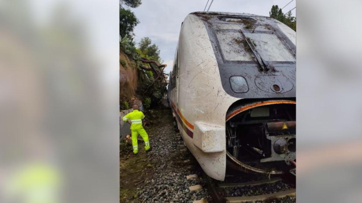 <h1>Rodalies'te Dört Günlük Fırtına Sonrası Kaos: Makinistler Seferleri Durdurdu