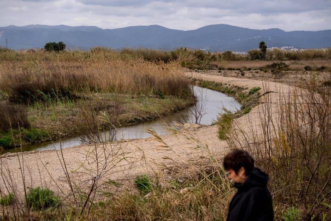 Barselona El Prat Genişlemesi İçin Kritik Hamle: Aena, Park Yıkıp Doğal Alan Yaratıyor