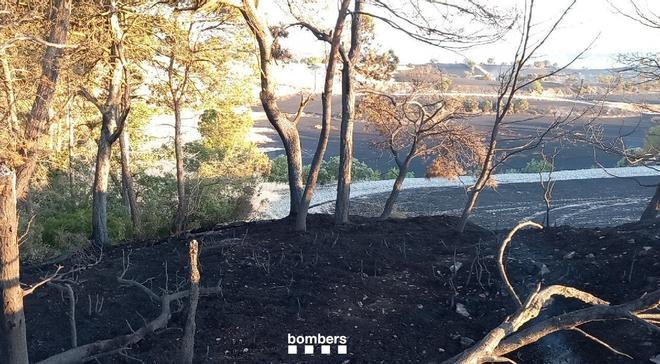 Katalonya'da Yangın Alarmı: Yüksek Sıcaklıklar 400 Belediyeyi Tehdit Ediyor
