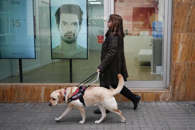 Sant Joan Kutlamaları Kanlı Bitti: Badalona'da Havai Fişek Yangını Bir Köpeğin Canına