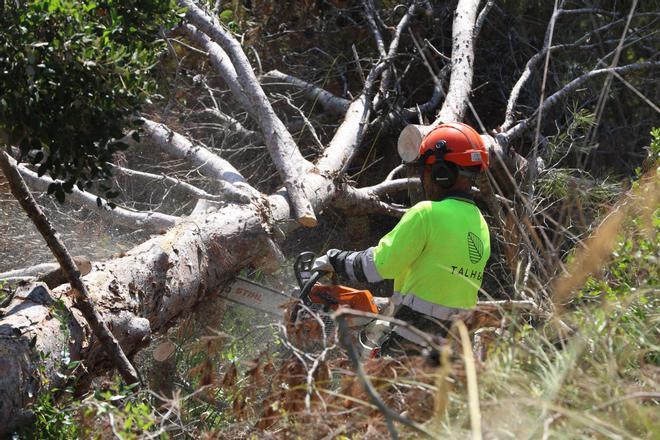 Barselona Çevresindeki Yerleşimleri Yangınlardan Koruyacak Yeni Kalkan Şeritleri