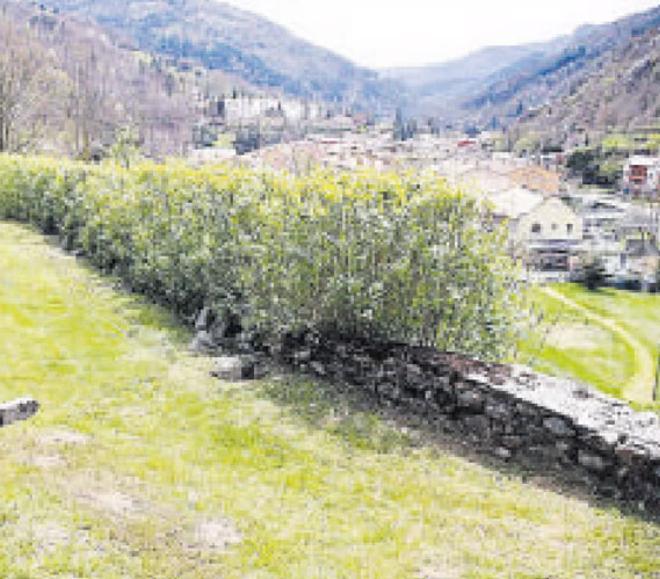 Ribes de Freser'de Ağaç Altında Can Pazarı: Fırtına Sonrası Temizlik Faciası