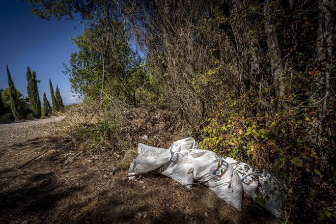 Collserola'da Veba Kısıtlamalarına Rağmen Moloz Dökümü Tehdidi Sürüyor