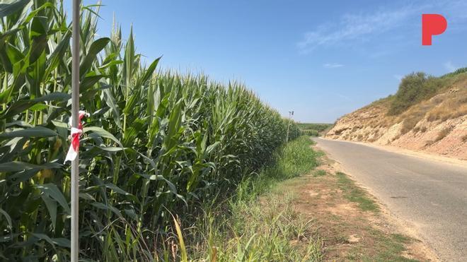 İspanya'da Dehşet: 19 Yaşındaki Genç, 75 Yaşındaki Komşusunu Katlettiği İddiasıyla