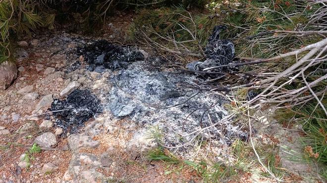 İspanya'da Orman Yangınları Alarmı: Reus'ta Üç Yangın Çıkaran Çift Yakalandı
