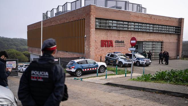 Afrika Domuz Vebası Soruşturması Derinleşiyor: IRTA-CReSA Laboratuvarı İkinci Kez