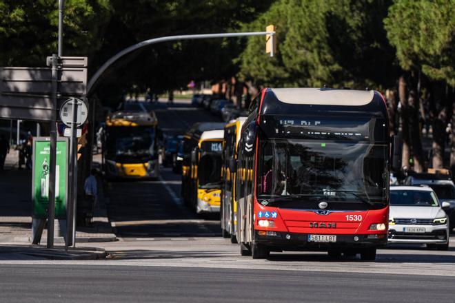 Barselona'nın Kalbi Diagonal'de Toplu Taşımada Dönüşüm: Yeni Otobüs Durakları Geliyor